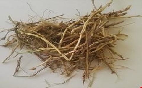 تصویر 2 از قیمت خرید علف هفت بند خشک با فروش عمده
